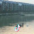 陈.羽(dx)