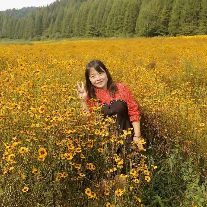 小燕子