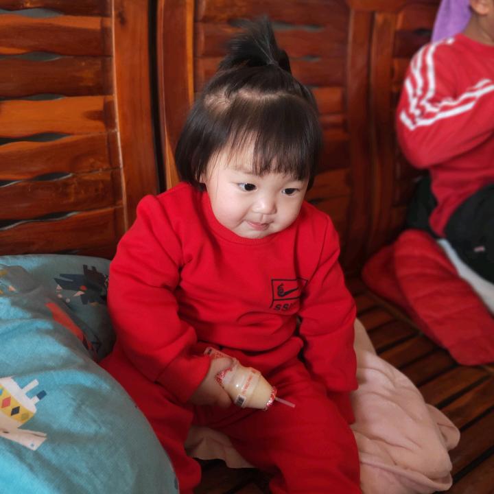 碣石收购老鸡母，老鸭母，蛋鸡头像