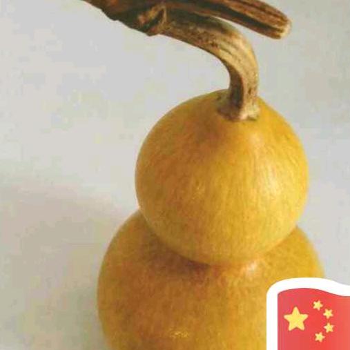 泉水gg