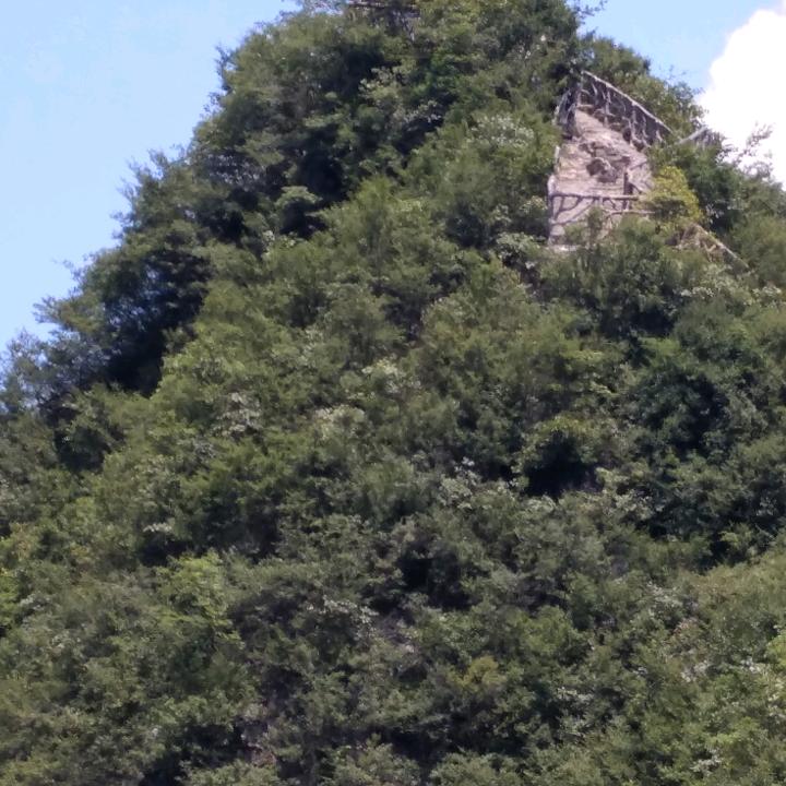 清茶淡水