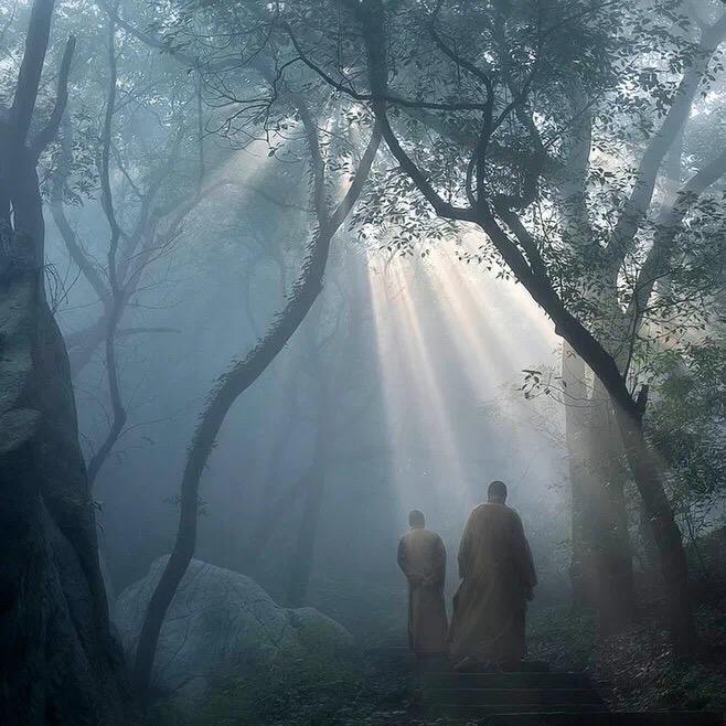 东东姐