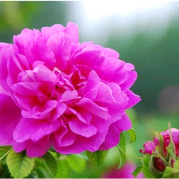 ꧔ꦿ告别💞᭄᪲ᩚ꯭ᩚ过去꧔ꦿ《拒私聊》