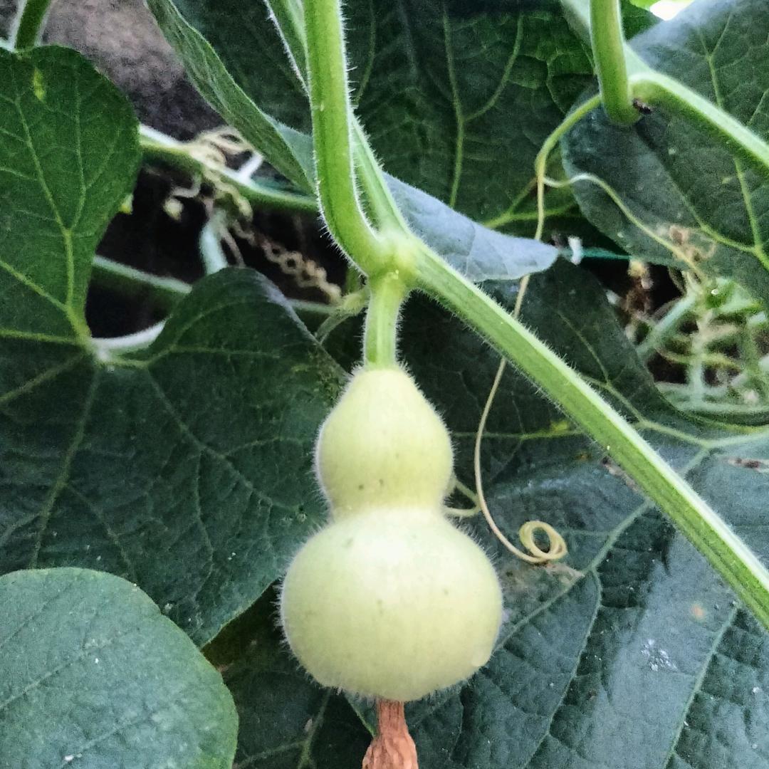 就这样吧      202