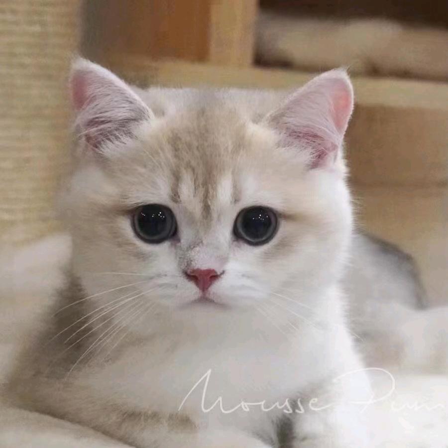 磨镜老人