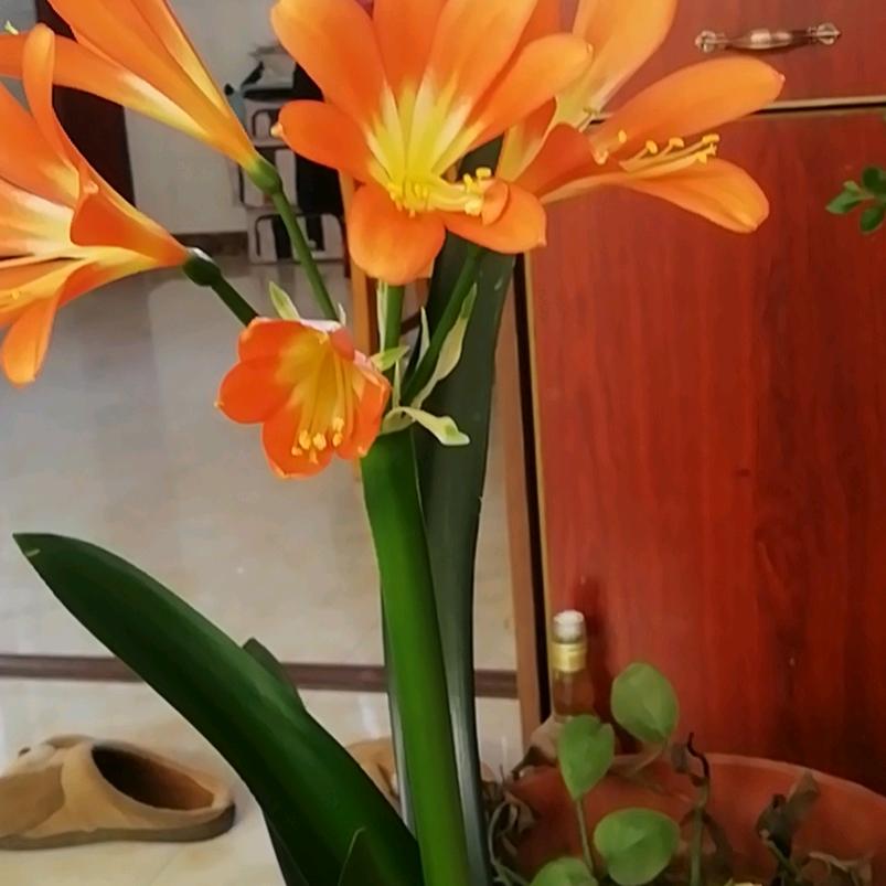 回味小吃