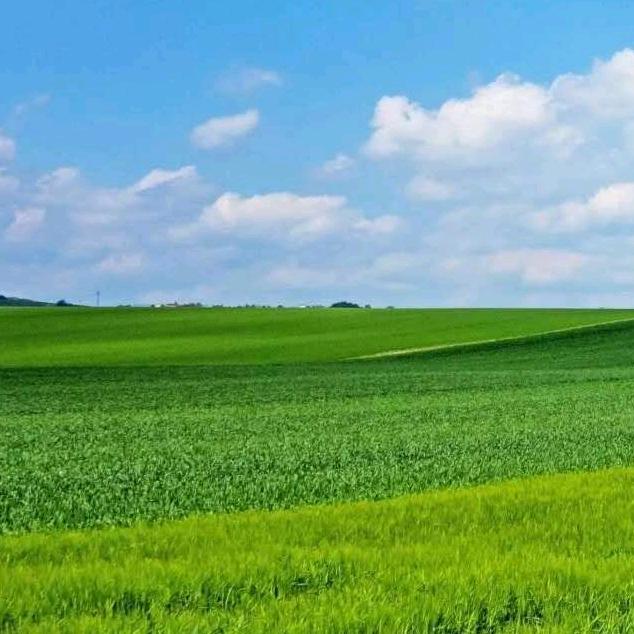 爱唱歌美丽姐姐