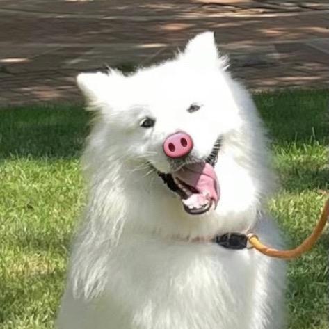 nine AKA快乐胖虎