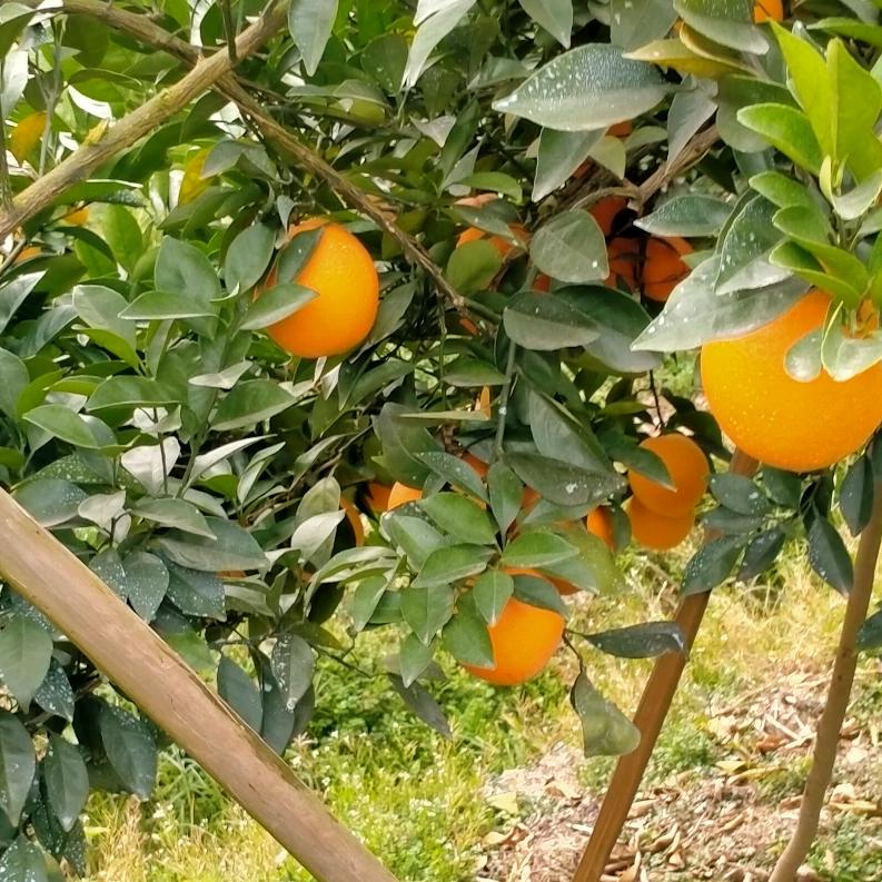 大海中的一叶轻舟