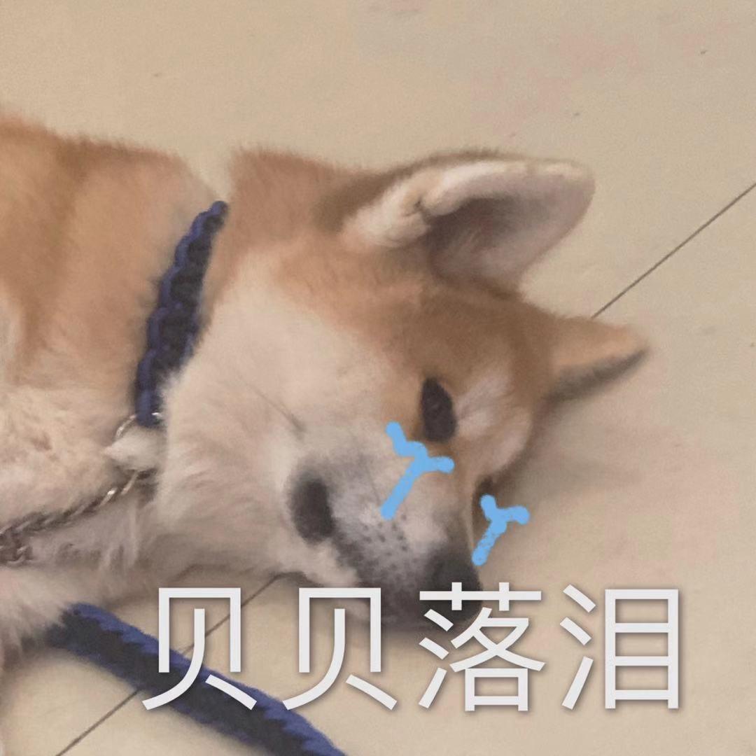 扬州浪子牛