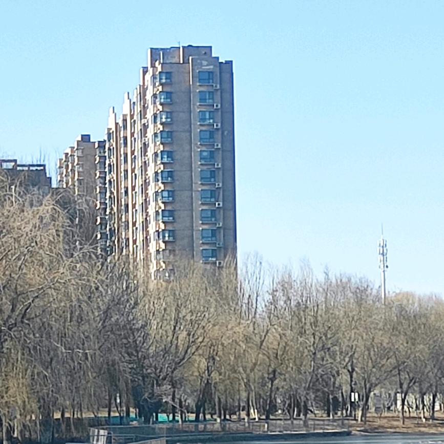 老大的老大