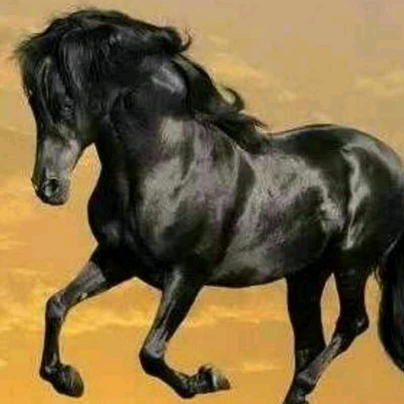 王传生