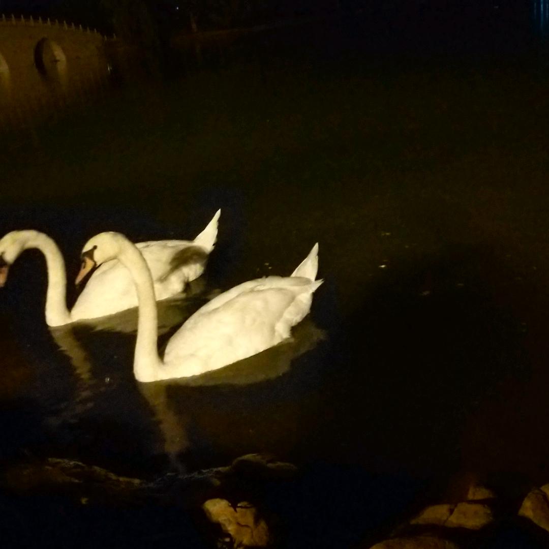 别等失去了才懂得珍惜