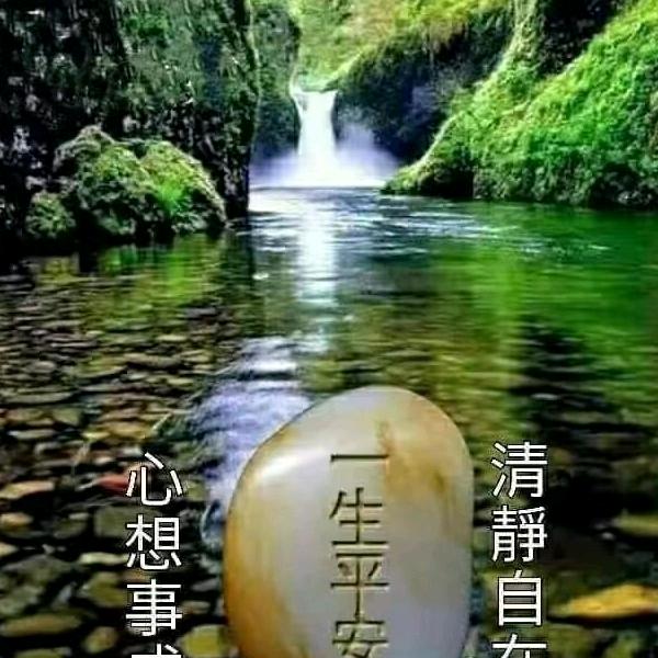 清泉93063462