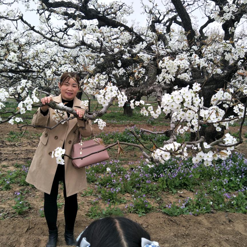 喜乐安康
