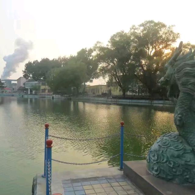 幸运草M