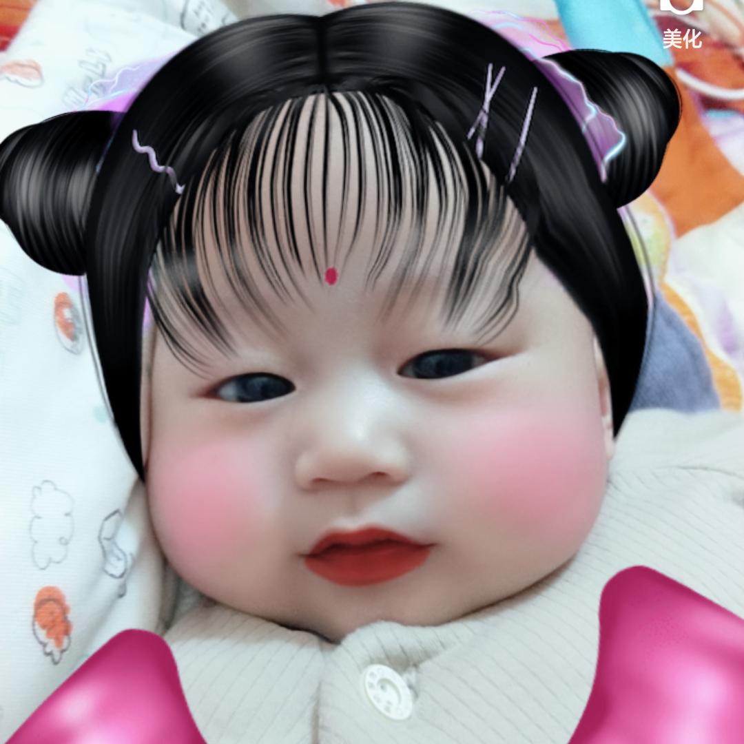 夏季枫叶（拒私聊）