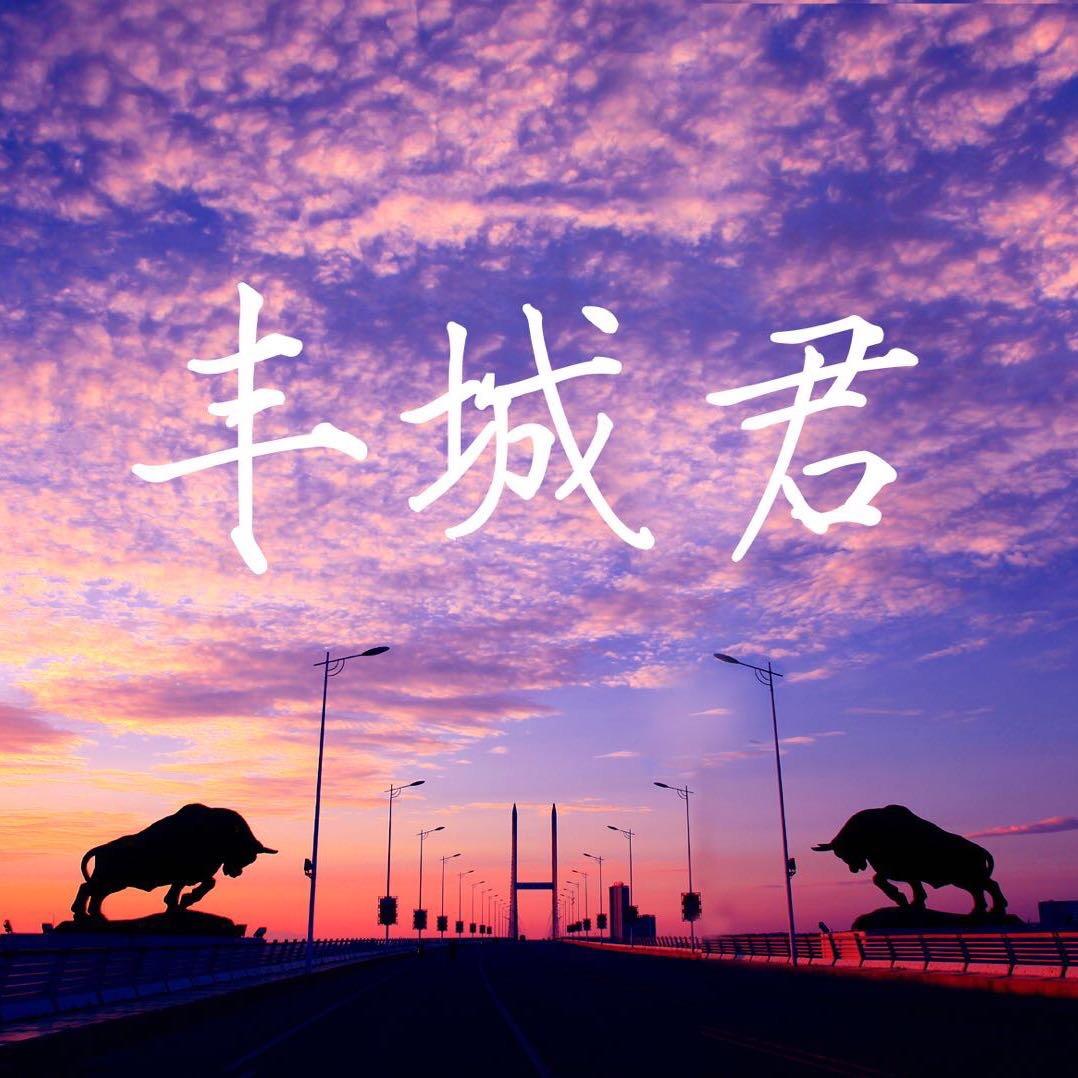 丰城君