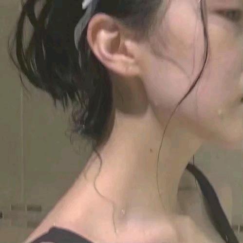 派蛋黄