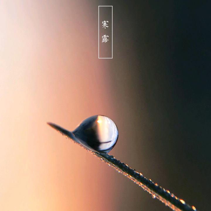 悦浅
