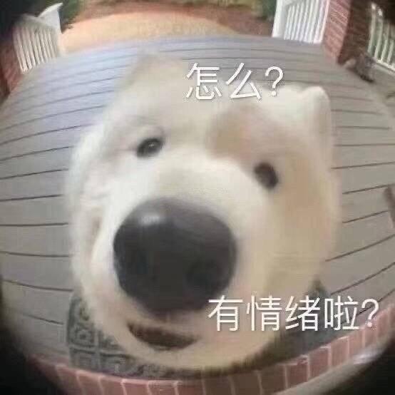 咕叽很酷