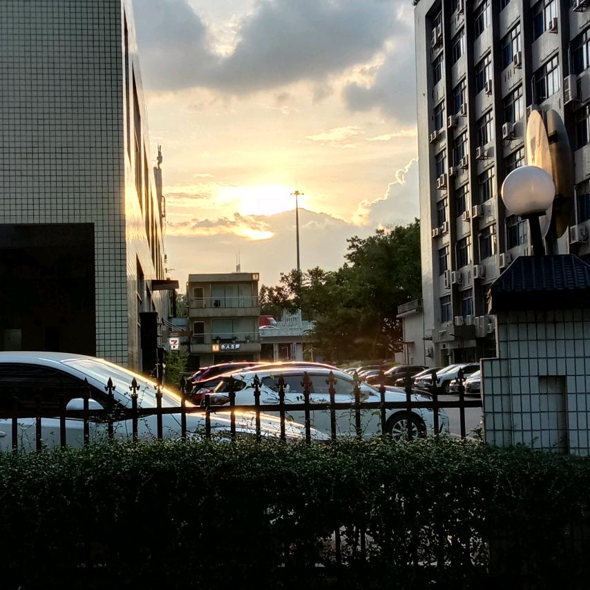 樱桃