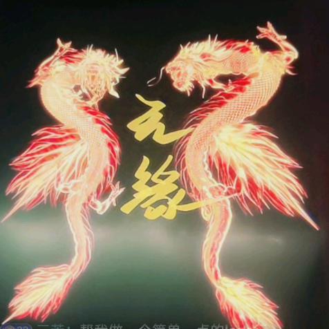凤舞九天，。。