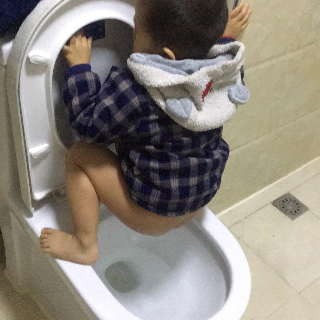 穿军械的猫