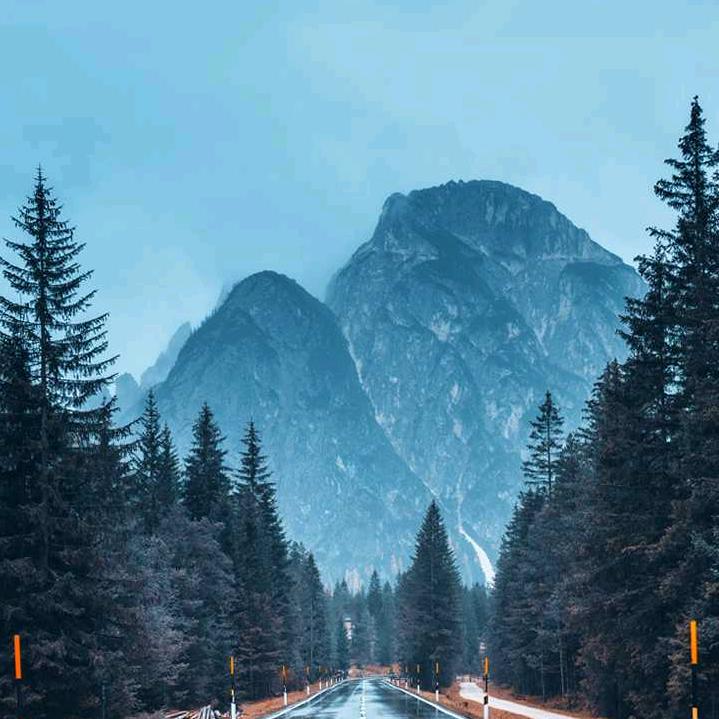 尘埃