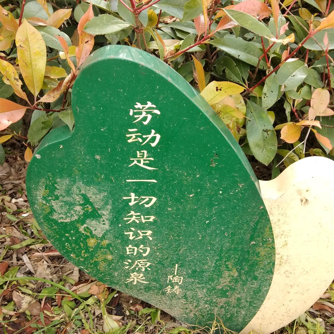 乄ⅰαyu来自鱼米之乡。
