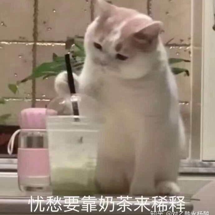不许敲自己