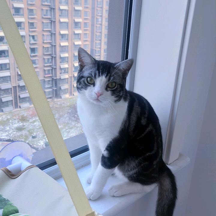 陌生默笙
