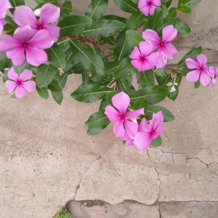 建晔爷爷