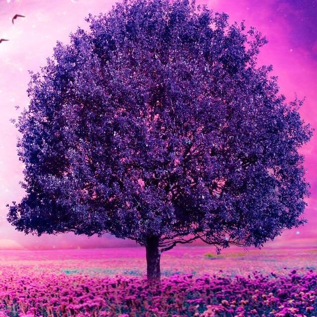 稀饭爱追剧@抖音