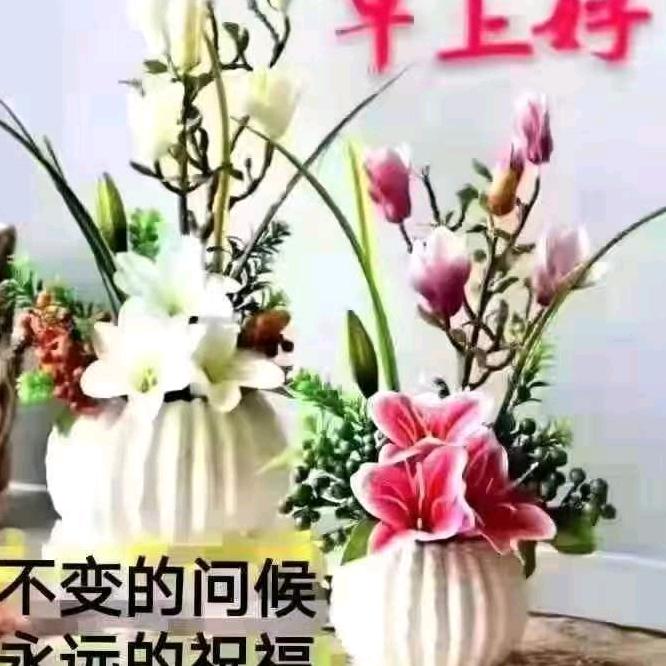 萍安快乐