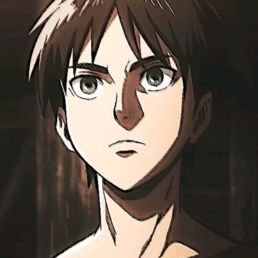 广州邦蔡贸易开播号