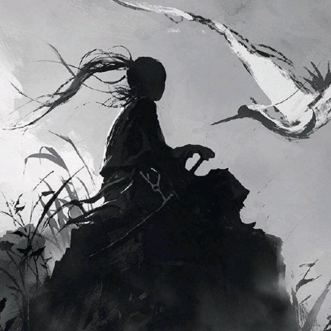 尘风知我意