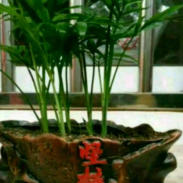 太阳团一笑而过