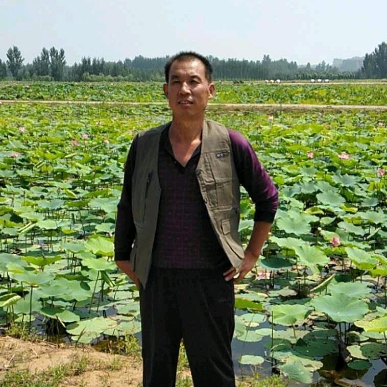 花开富贵：高师