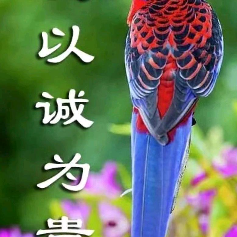 紅杰娱乐视频分享