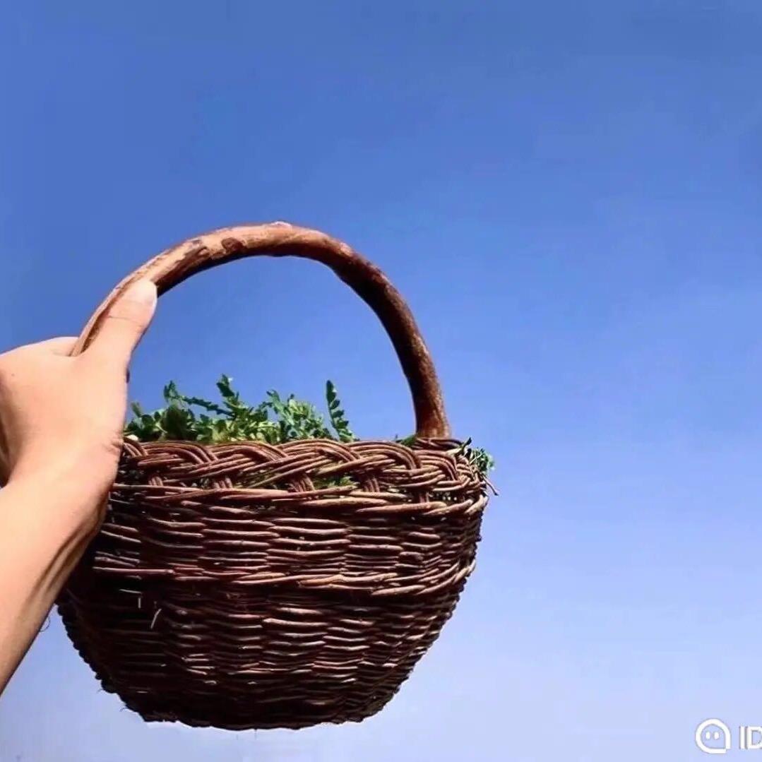 棉花