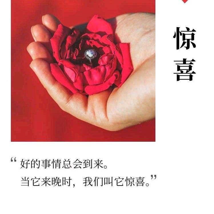 蜜奇星