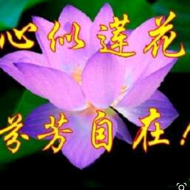 芬姐