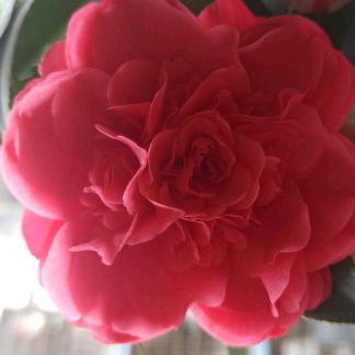 用户6820843502838慧子