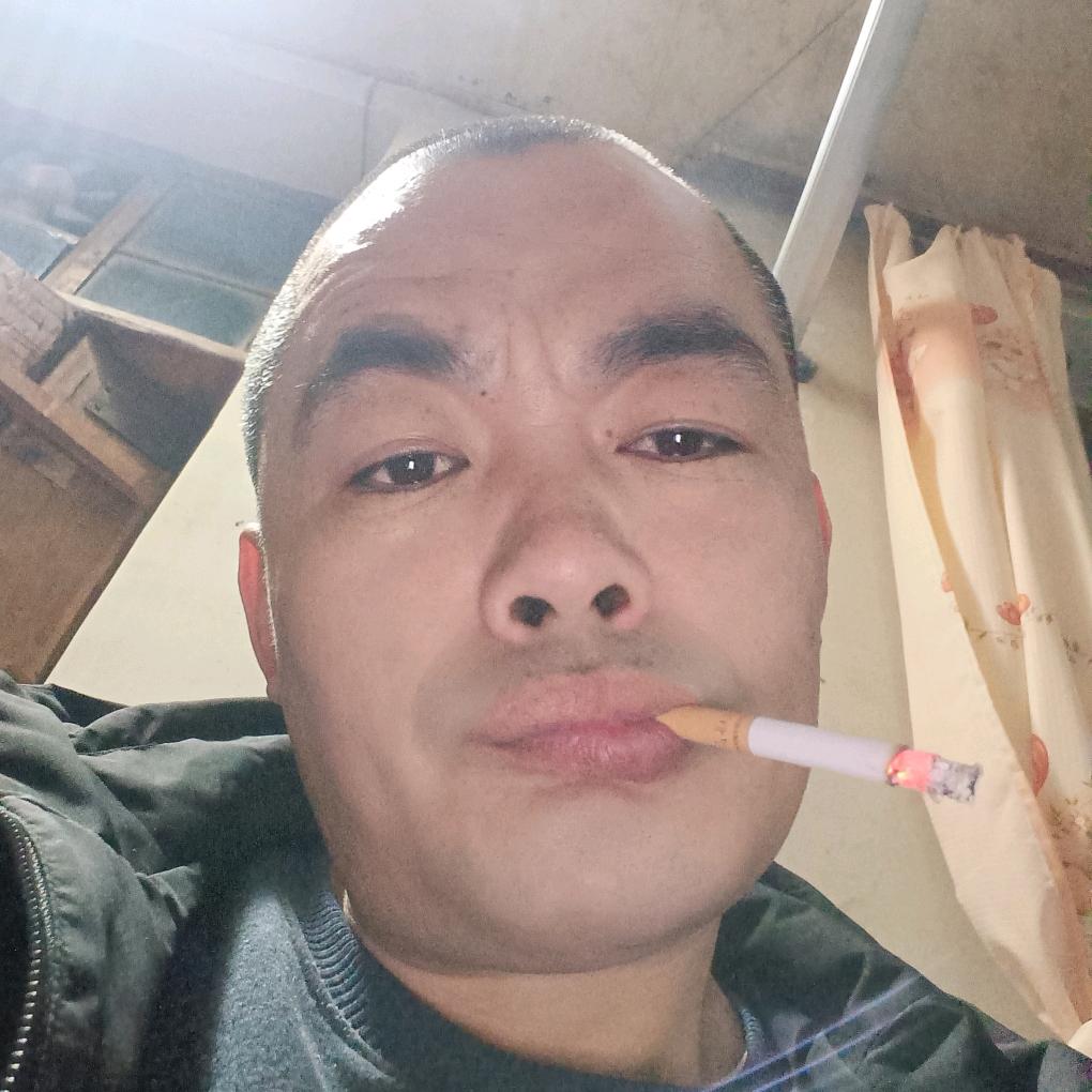 段进兵