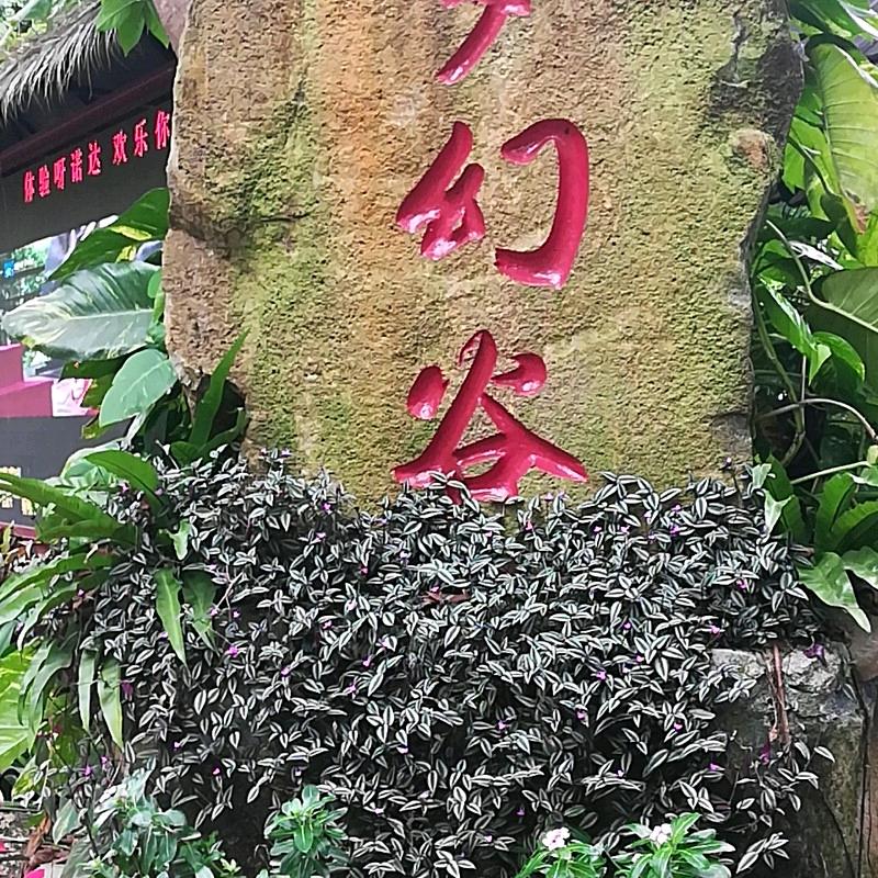 聪哥