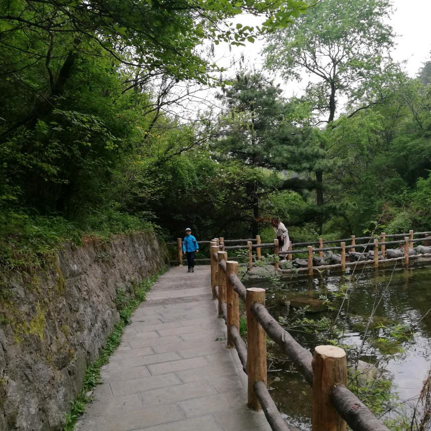 风潇潇