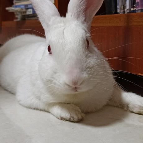 799526809二姐的日常生活记录