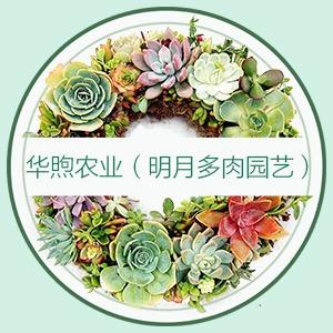 明月多肉园艺