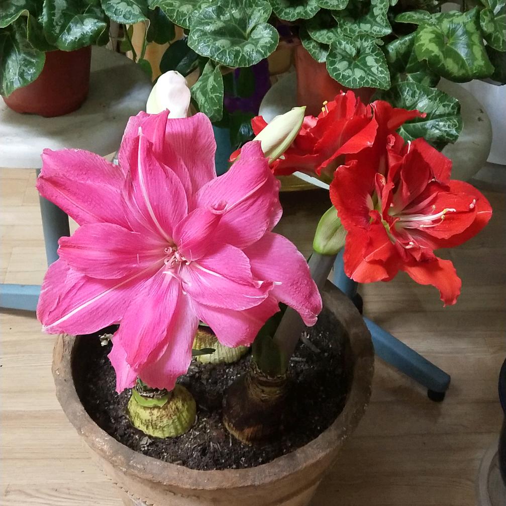 顺其自然